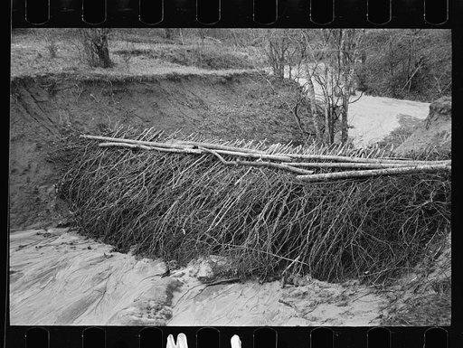 Erosion control on Coalins Forest and Game Reservation, between the rivers section of western Kentucky
