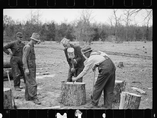 Splitting oak log stump which will in turn be split into shingles at Wilson Forest Project near Lebanon, Tennessee