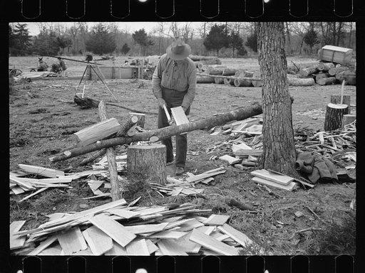 Splitting shingles, Wilson Cedar Forest, near Lebanon, Tennessee
