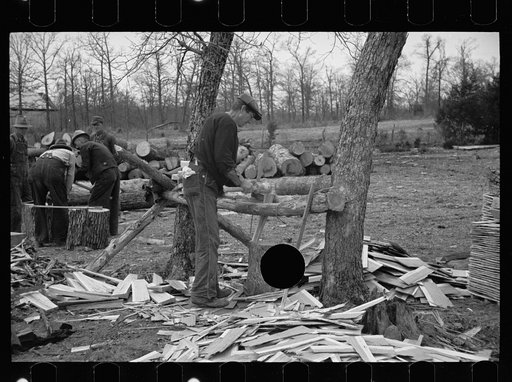 Untitled photo, possibly related to: Splitting shingles, Wilson Cedar Forest, near Lebanon, Tennessee