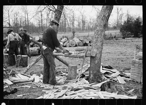 Splitting shingles, Wilson Cedar Forest, near Lebanon, Tennessee