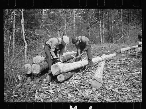Stripping logs to be used in log shelters at Wilson Cedar Forest, near Lebanon, Tennessee