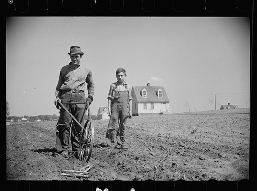Untitled photo, possibly related to: Miner-farmer working his land at the Granger Homesteads