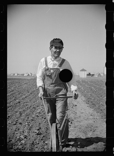 Untitled photo, possibly related to: Miner-farmer working his land at the Granger Homesteads