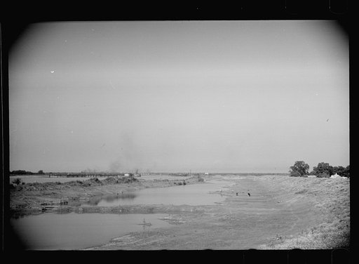 St. Charles Parish, Louisiana. Public pasture land inside the Mississippi levee which is valuable during low water periods
