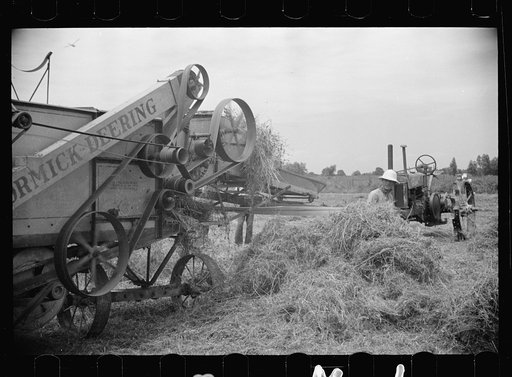 Untitled photo, possibly related to: Clover farmer on seed threshing machine, St. Charles Parish, Louisiana