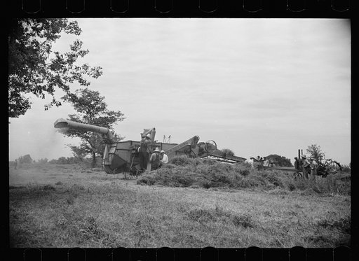 Untitled photo, possibly related to: Clover farmer on seed threshing machine, St. Charles Parish, Louisiana