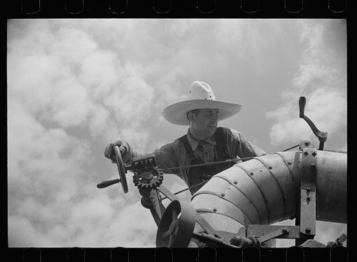 Untitled photo, possibly related to: Clover farmer on seed threshing machine, St. Charles Parish, Louisiana