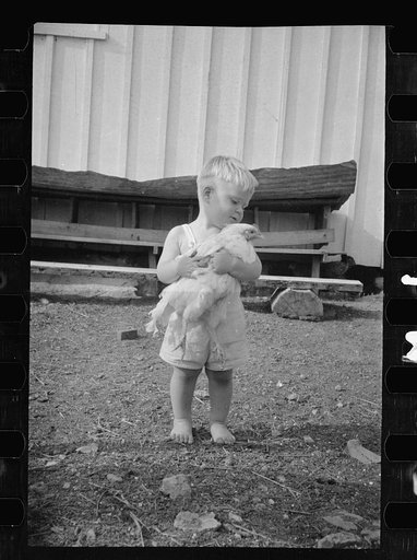 Untitled photo, possibly related to: One of the Palmerdale Homesteads near Birmingham, Alabama