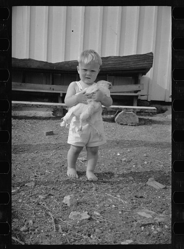 Untitled photo, possibly related to: One of the Palmerdale Homesteads near Birmingham, Alabama