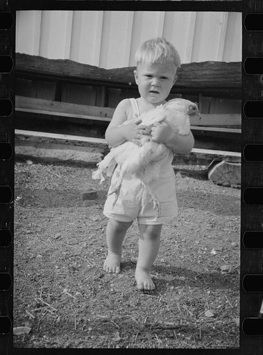 Untitled photo, possibly related to: One of the Palmerdale Homesteads near Birmingham, Alabama