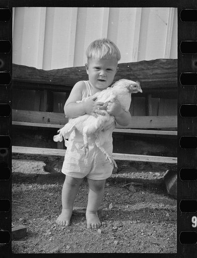 Untitled photo, possibly related to: One of the Palmerdale Homesteads near Birmingham, Alabama