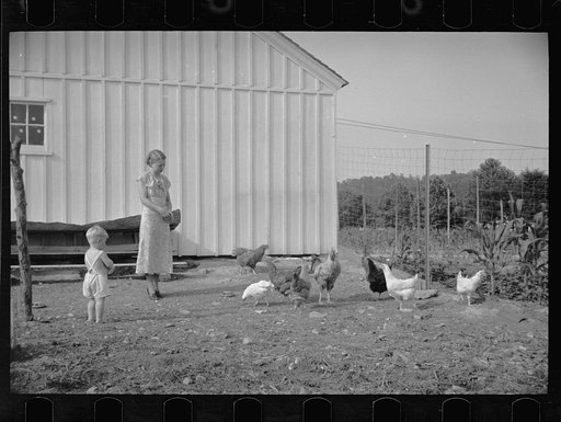 One of the Palmerdale Homesteads near Birmingham, Alabama