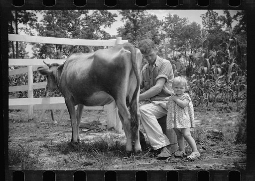 Untitled photo, possibly related to: Penderlea Homesteads, North Carolina