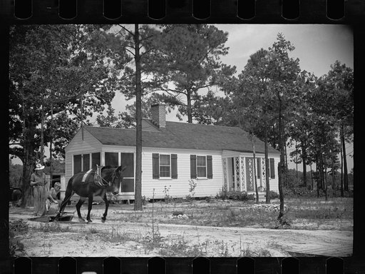 Homestead, Penderlea, North Carolina