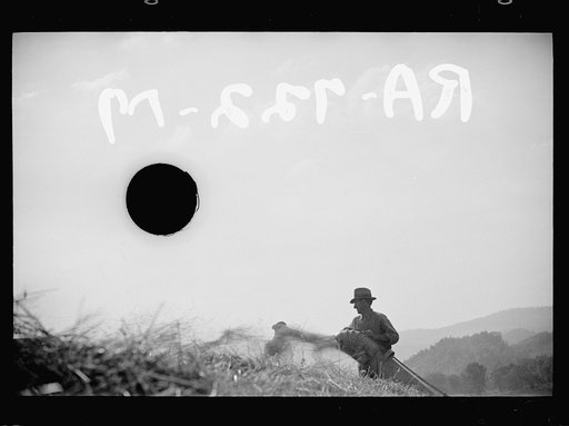 Untitled photo, possibly related to: Threshing, Tygart Valley, West Virginia