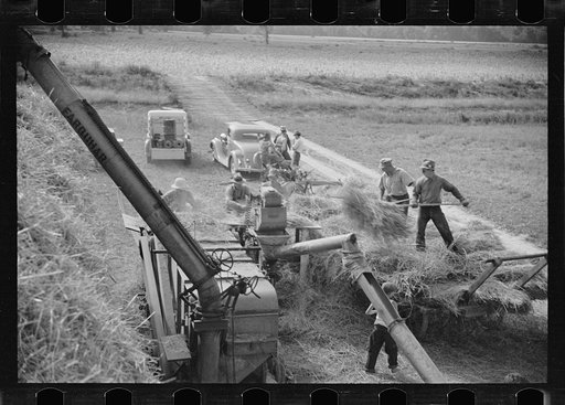 Untitled photo, possibly related to: Threshing, Tygart Valley, West Virginia