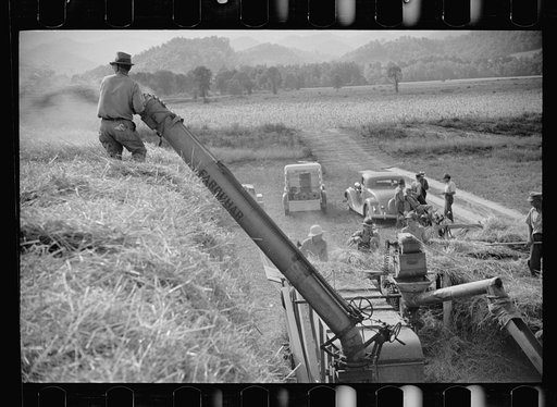 Untitled photo, possibly related to: Threshing, Tygart Valley, West Virginia