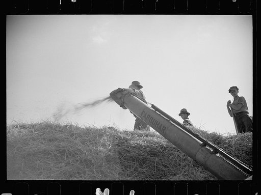 Threshing, Tygart Valley, West Virginia