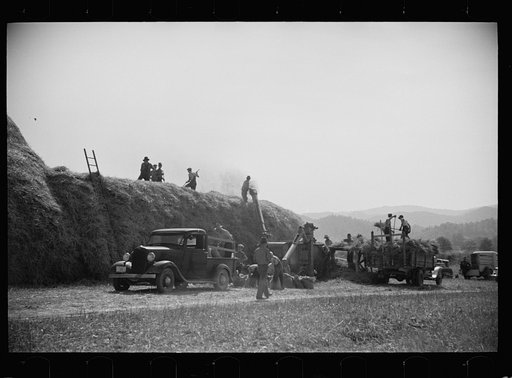 Threshing, Tygart Valley, West Virginia
