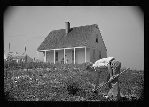 Untitled photo, possibly related to: Tygart Valley Homesteads, West Virginia