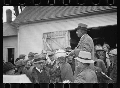 Auction near Hyde Park Village, Vermont