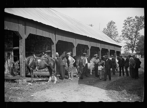 Much of the talk is about the stock which is proudly shown at the fair, Albany, Vermont