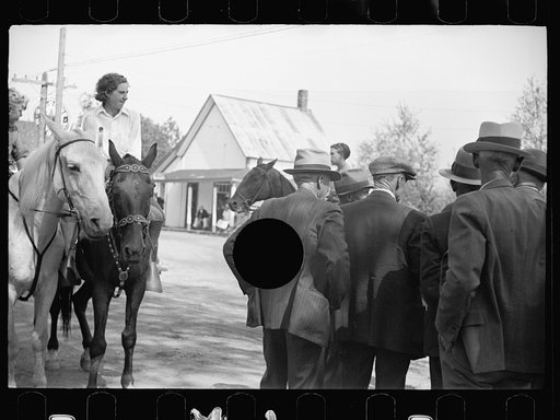 Untitled photo, possibly related to: Horse judging at the fair, Albany, Vermont