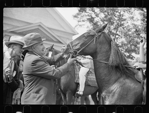 Horse judging at the fair, Albany, Vermont
