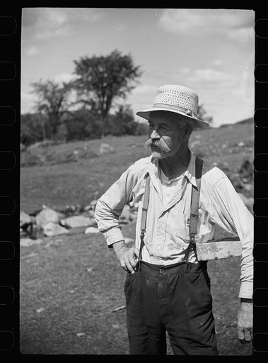 Untitled photo, possibly related to: Vermont farmer and sheep near North Troy