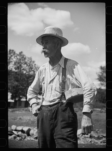 Untitled photo, possibly related to: Vermont farmer and sheep near North Troy