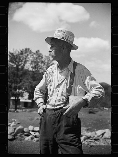 Untitled photo, possibly related to: Vermont farmer and sheep near North Troy
