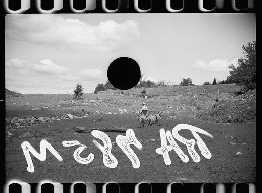 Untitled photo, possibly related to: Vermont farmer and sheep near North Troy