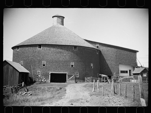 Untitled photo, possibly related to: Vermont farmer and sheep near North Troy