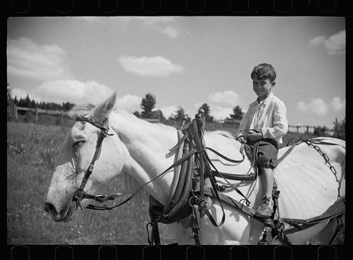 Untitled photo, possibly related to: Farm boy and horse east of Lowell, Vermont