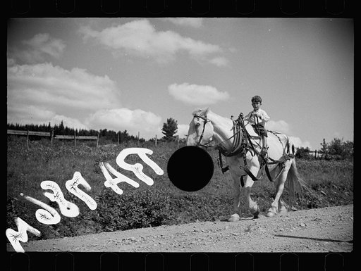 Untitled photo, possibly related to: Farm boy and horse east of Lowell, Vermont