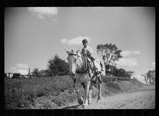 Farm boy and horse east of Lowell, Vermont