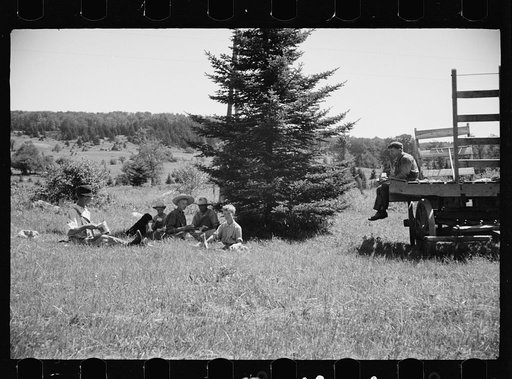 Untitled photo, possibly related to: Farm boy and horse east of Lowell, Vermont
