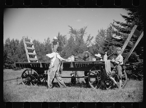 Untitled photo, possibly related to: Farm boy and horse east of Lowell, Vermont