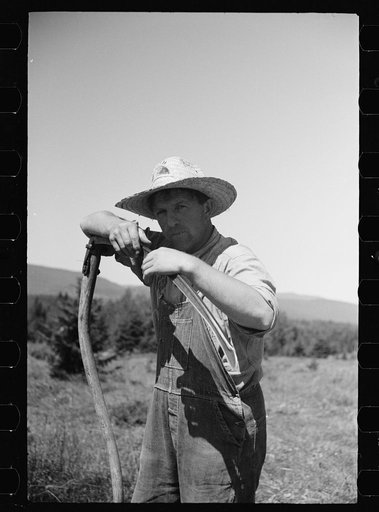 Untitled photo, possibly related to: Farm boy and horse east of Lowell, Vermont