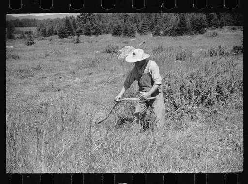 Untitled photo, possibly related to: Farm boy and horse east of Lowell, Vermont