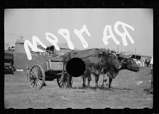 Untitled photo, possibly related to: Tin-type photographer at Morrisville, Vermont fair