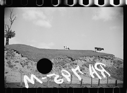 Untitled photo, possibly related to: Erosion near Lowell, Vermont