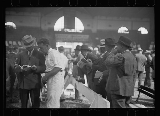 Untitled photo, possibly related to: Cattle experts at the stock show, Eastern States Fair, Springfield, Massachusetts