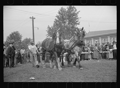 Untitled photo, possibly related to: The dynamometer used in the horse-pulling contest, Eastern States Fair, Springfield, Massachusetts