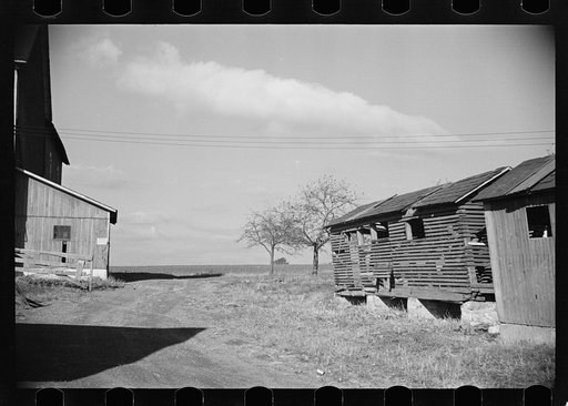 Untitled photo, possibly related to: Corn crib on H.S. Wimmer farm, Butztown, Pennsylvania, Northampton farm site