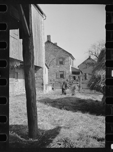 Untitled photo, possibly related to: Lloyd Kramer farm, Farmersville, Pennsylvania, Northampton farm site