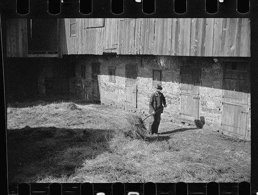Untitled photo, possibly related to: Lloyd Kramer farm, Farmersville, Pennsylvania, Northampton farm site