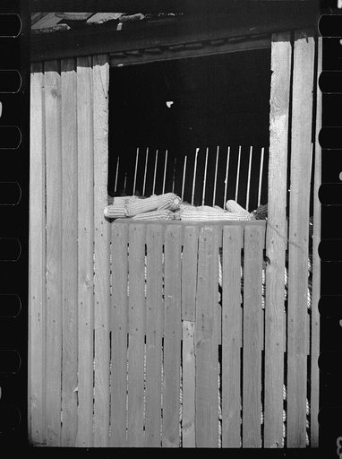 Corn crib on H.S. Wimmer's farm, Butztown, Pennsylvania, Northampton farm site