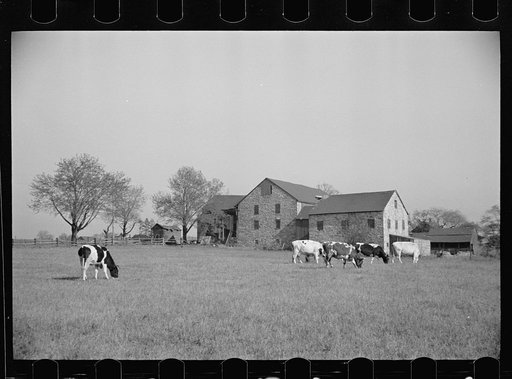 Untitled photo, possibly related to: Lloyd Kramer farm, Farmersville, Pennsylvania, Northampton farm site